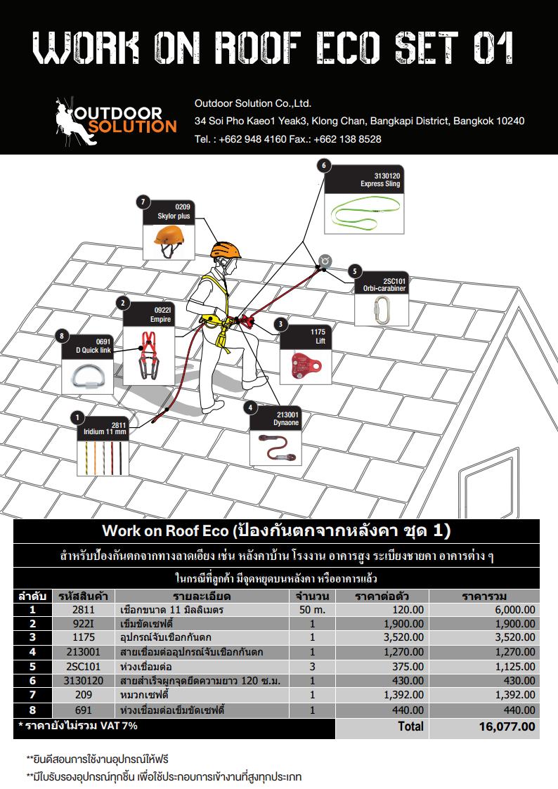 Work on Roof Eco Set 01