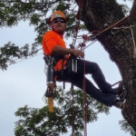 ชัยชาญ วรรณเลิศ